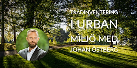 Trädinventering i urban miljö med Johan Östberg  primärbild