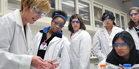 Academic promotions for women in STEM primary image