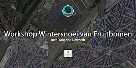 Workshop Wintersnoei van Fruitbomen met Françoise Desmedt tickets