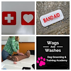 Canine First Aid Course 1 Day Level 3 tickets