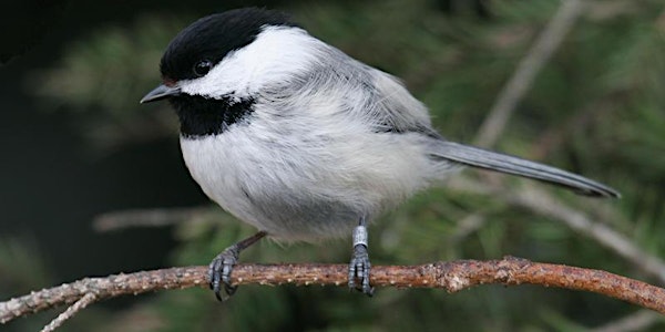 NatureKids: Bird Banding at Colony Farm
