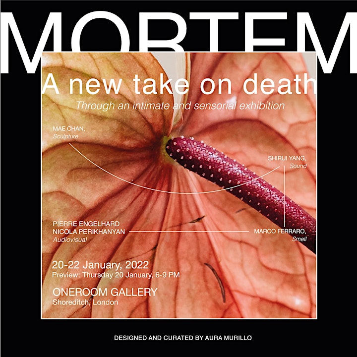 Opening: MORTEM Exhibition, A new take on death image