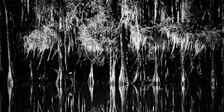 Caddo Lake: Destinations by Fort Worth Camera primary image