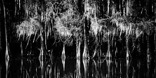 Hauptbild für Caddo Lake: Destinations by Fort Worth Camera