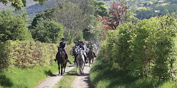 Donard Glen Equestrian end of month ride out 30th Jan 2022 1PM sharp