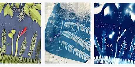 Capture an image using Sunlight instead of a Camera – Cyanotype workshop tickets