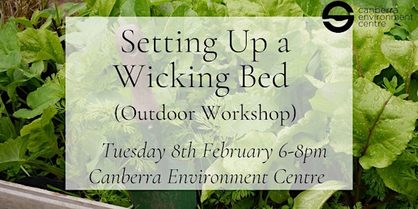 Setting Up a Wicking Bed (Outdoor Workshop)