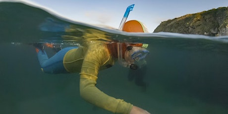 Explore the Shore - Summer snorkel at Hannafore National Marine Week Event tickets