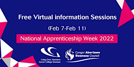 Swansea Council - Careers Advice & Guidance with Judith Lyle tickets