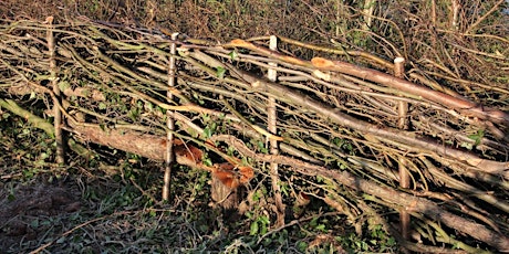 Introduction to Hedgelaying tickets