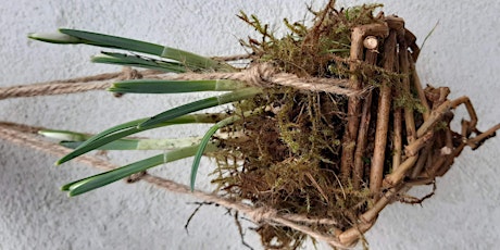 Make a mossy willow snowdrop hanging basket primary image