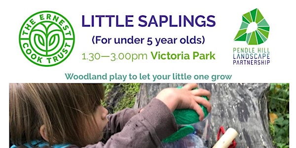 LITTLE SAPLINGS - Victoria Park, Nelson