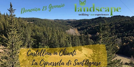 Castellina In Chianti: La Cipresseta di Sant'Agnese biglietti