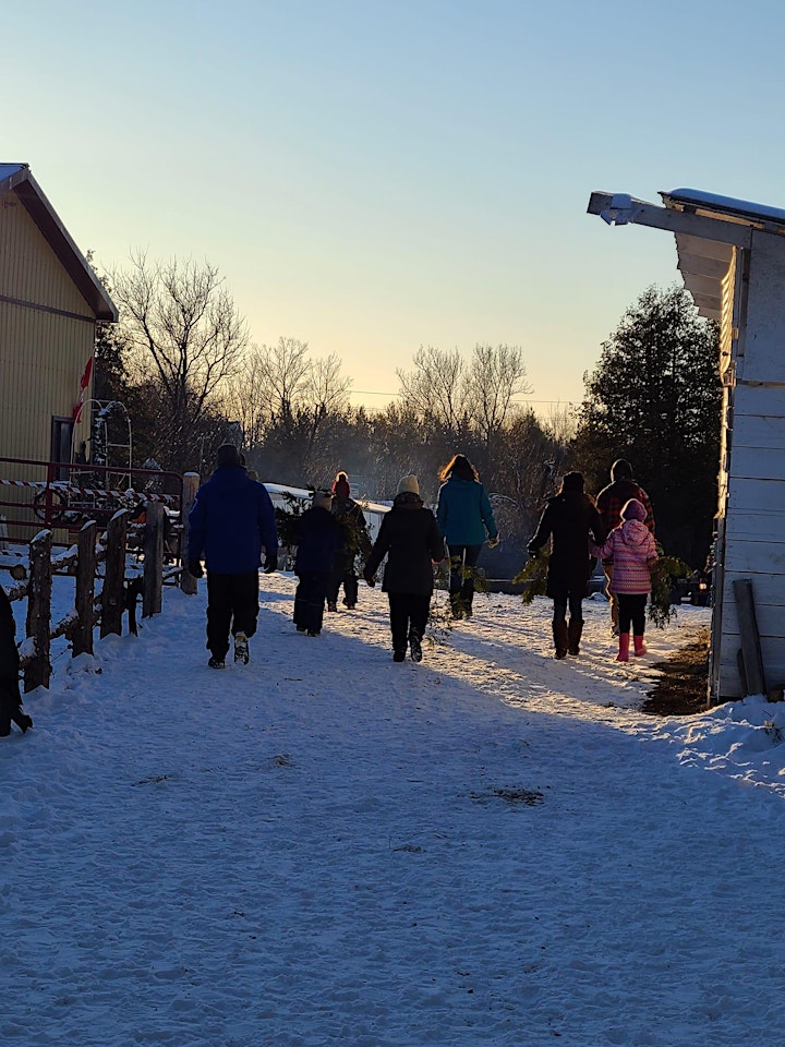 Family Day Trail Walks at Small Hooves Big Hearts image