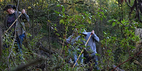 Volunteer Opportunity: Invasive Removal tickets