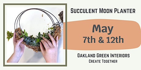 Succulent Moon Planter - May 7th