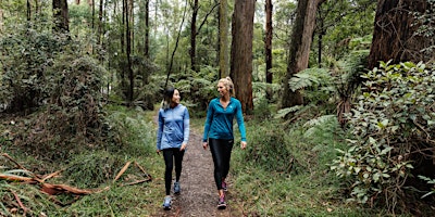 Imagem principal do evento Sherbrooke Forest Park Walk - Dandenong Ranges