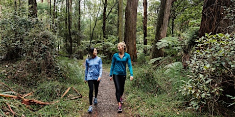 Sherbrooke Forest Park Walk - Dandenong Ranges