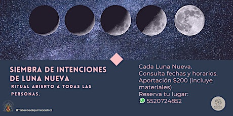 Imagen principal de Siembra de Intenciones de Luna Nueva