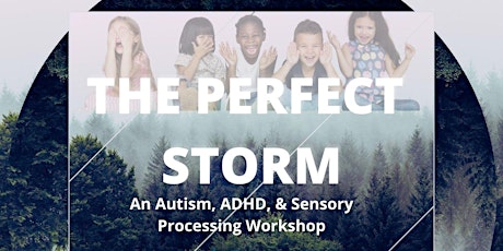 Perfect Storm: ADHD and Sensory Workshop for Parents primary image
