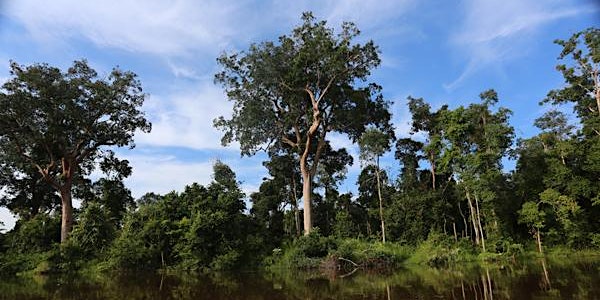 Covering What's Working in Conservation
