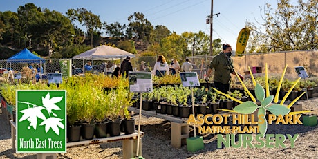 February Volunteer Day at the Ascot Hills Park Nursery tickets