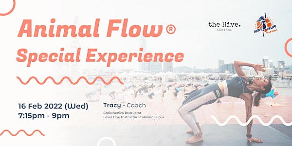 the Hive Central x Happy Recipe | Animal Flow Experience