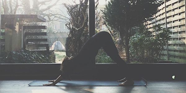 Yoga Dendermonde (level 1)