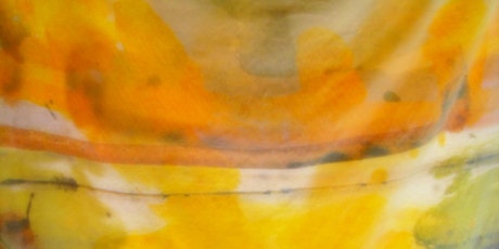 SOLD OUT: Natural Dyes primary image