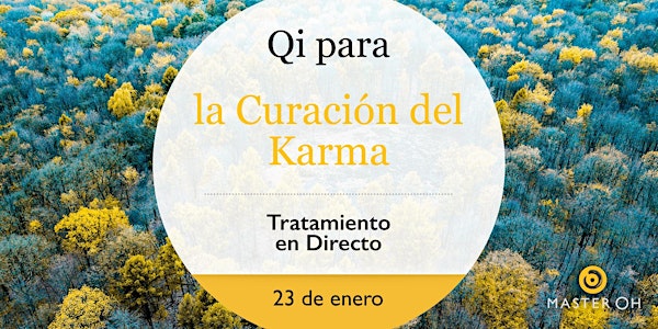 Qi para la Curación del Karma