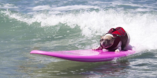 2022 World Dog Surfing BEST WAVES: Video and Photo Registration