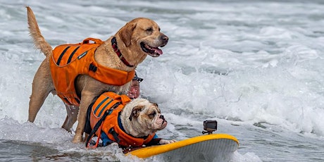 World Dog Surfing Competition: Entrant Registration for 2022 tickets
