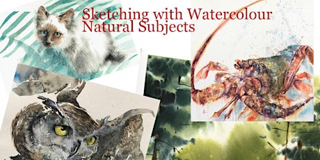 Watercolour sketching of natural subjects, with Larissa Fraser tickets