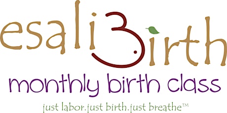 Esali Birth Perinatal Mentor Q&A primary image