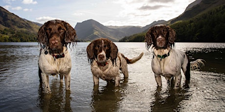 Paddy’s Buttermere Bounce - Charity Dog Walk tickets