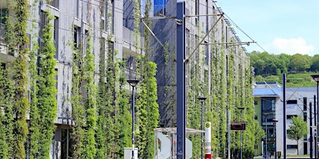 Sviluppo sostenibile, Green Building