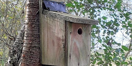 Nest Boxes for the Birds tickets