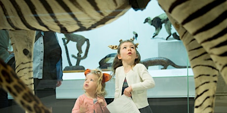 2016 Free Museum Weekend at Australian Museum primary image