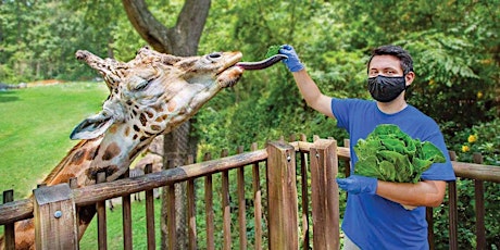North Carolina Zoo Job Fair tickets