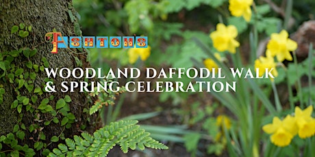 Woodland Daffodil Walk & Spring Celebration