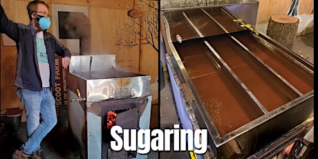 **SOLD OUT** Sugaring tickets