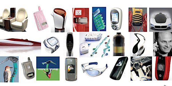 BIONICS in ACTION: Masterclass in Nature Inspired Design Process