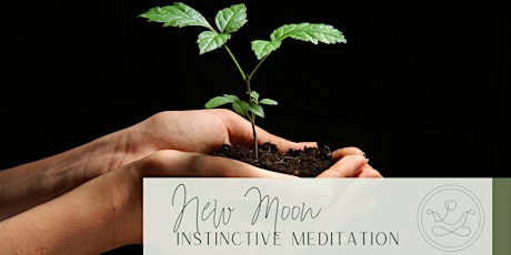 Instinctive Embodiment Meditation: Connection and Relationship tickets