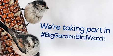 Family friendly Big Garden Bird Watch with RSPB Cymru tickets