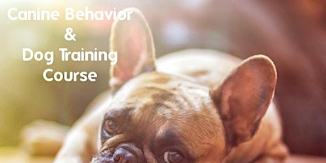 Canine Behavior & Dog Training Course March 2022 tickets
