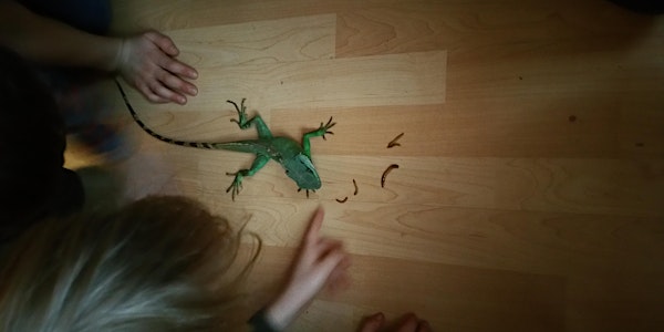 Natural History Open Day