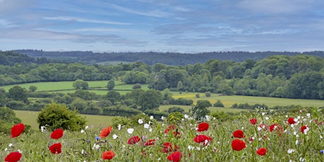 Alton Walking Festival 1st - 31st May 2022 primary image