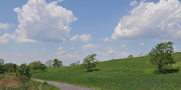 Make Music New York Performance at Freshkills Park