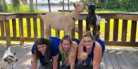 Goat Yoga Tampa plus free drink! Cage Brewing in St. Pete; 3/20/22