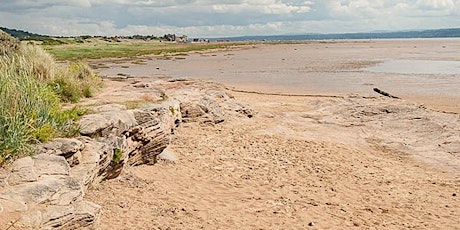 Adult Autism Group  - Beach walk from West Kirby to Red Rocks tickets